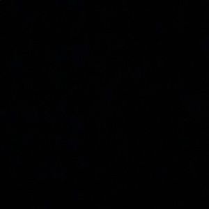 Meet your Posher, Rayven